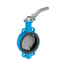 Stainless steel pair butterfly valve